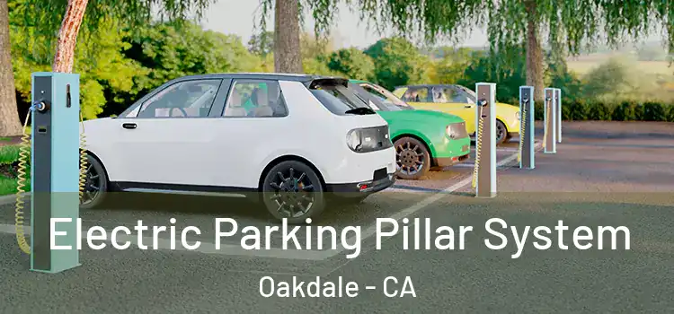 Electric Parking Pillar System Oakdale - CA
