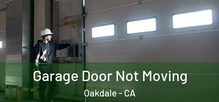  Garage Door Not Moving Oakdale - CA