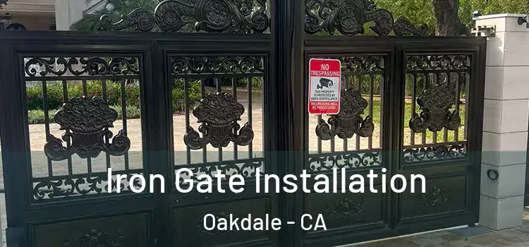 Iron Gate Installation Oakdale - CA